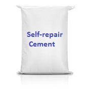Self-repair Cement
